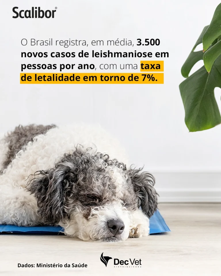 Instagram post from decvetdistribuidora. This post is in position 1.