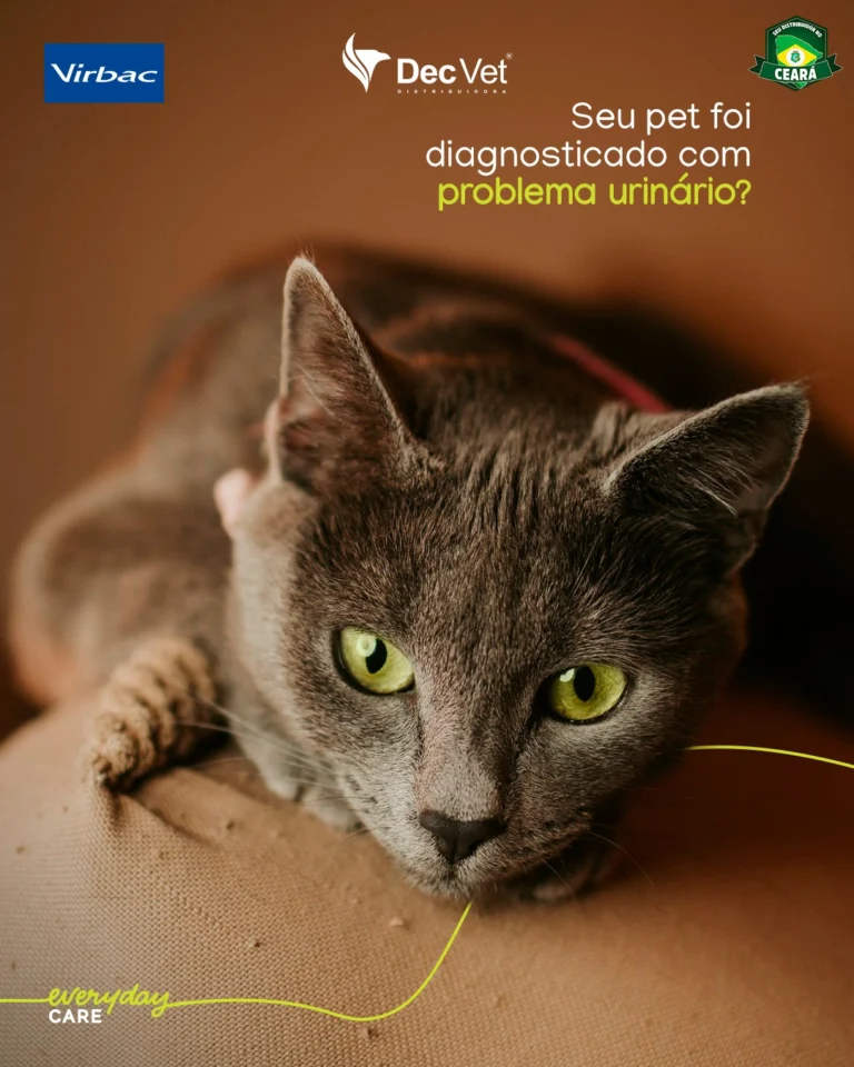 Instagram post from decvetdistribuidora. This post is in position 0.