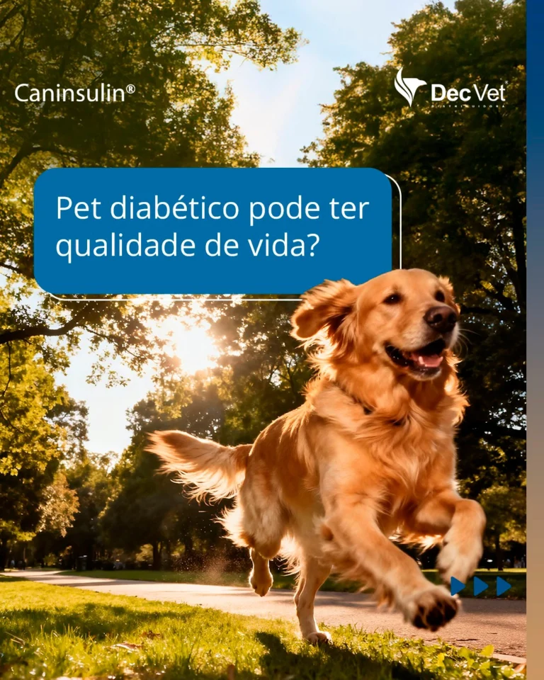 Instagram post from decvetdistribuidora. This post is in position 0.