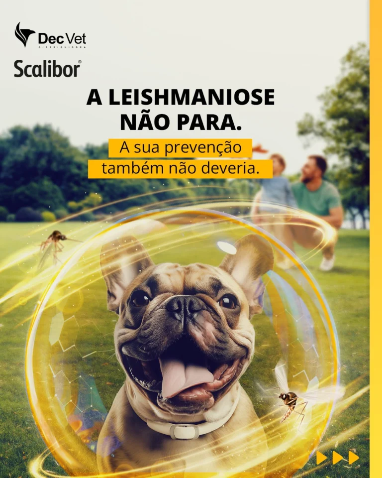 Instagram post from decvetdistribuidora. This post is in position 0.