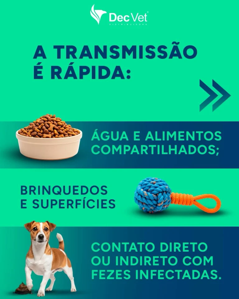 Instagram post from decvetdistribuidora. This post is in position 2.