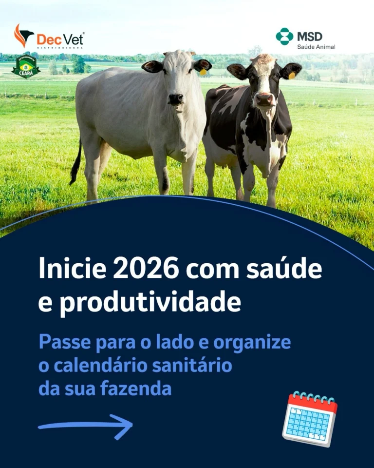 Instagram post from decvetdistribuidora. This post is in position 0.