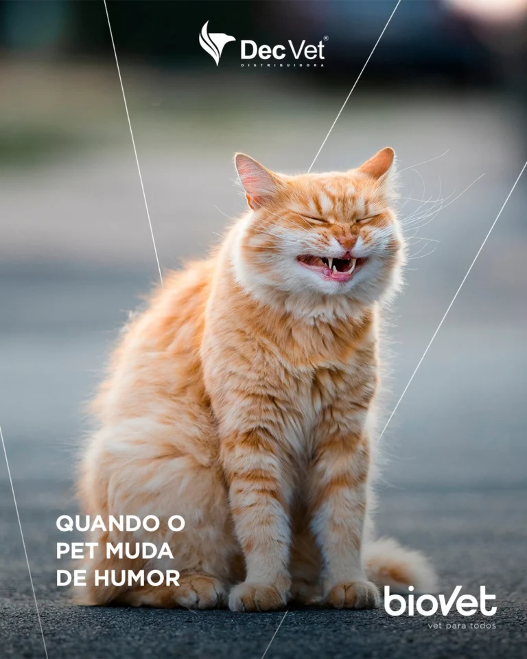 Instagram post from decvetdistribuidora. This post is in position 0.