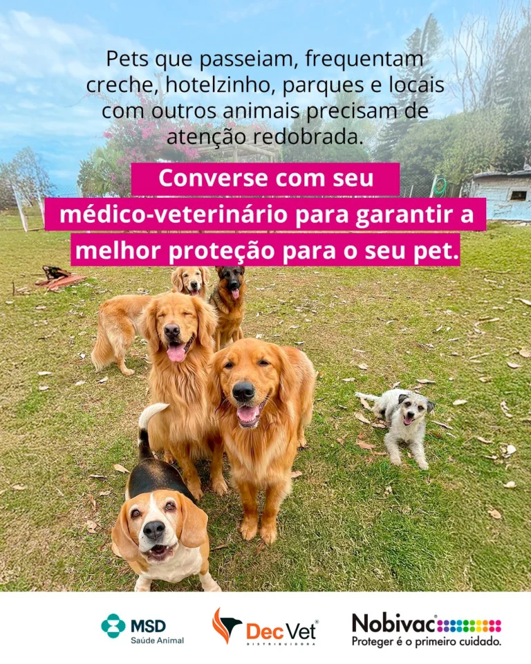 Instagram post from decvetdistribuidora. This post is in position 5.