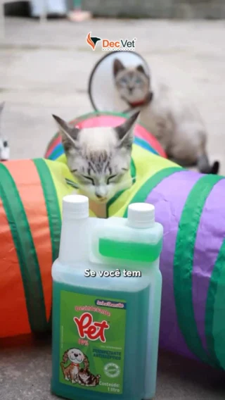 Instagram post from decvetdistribuidora. This post is in position 1.