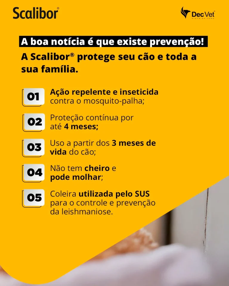 Instagram post from decvetdistribuidora. This post is in position 2.