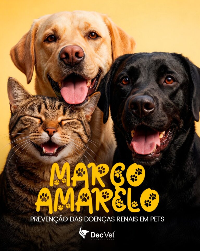 Instagram post from decvetdistribuidora. This post is in position 3.