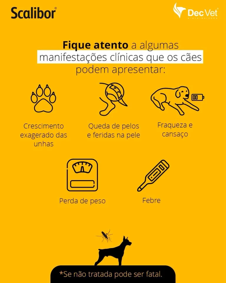 Instagram post from decvetdistribuidora. This post is in position 1.