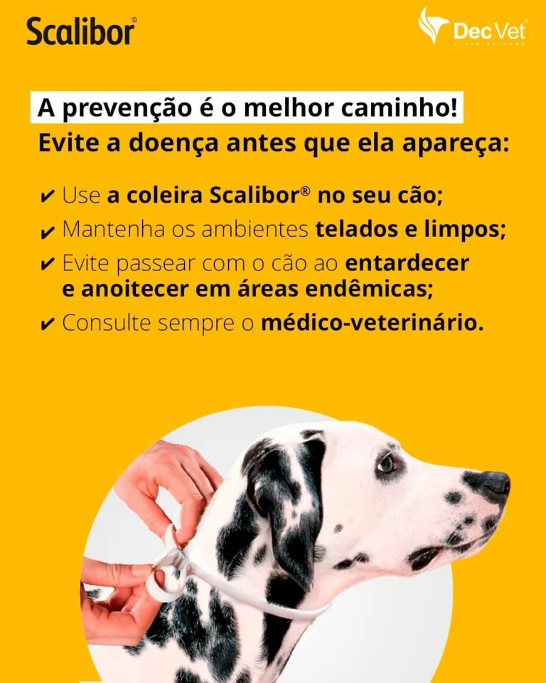 Instagram post from decvetdistribuidora. This post is in position 3.