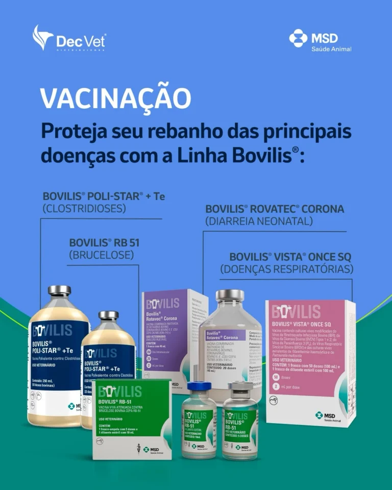 Instagram post from decvetdistribuidora. This post is in position 2.