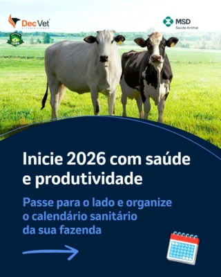 Instagram post from decvetdistribuidora. This post is in position 1.