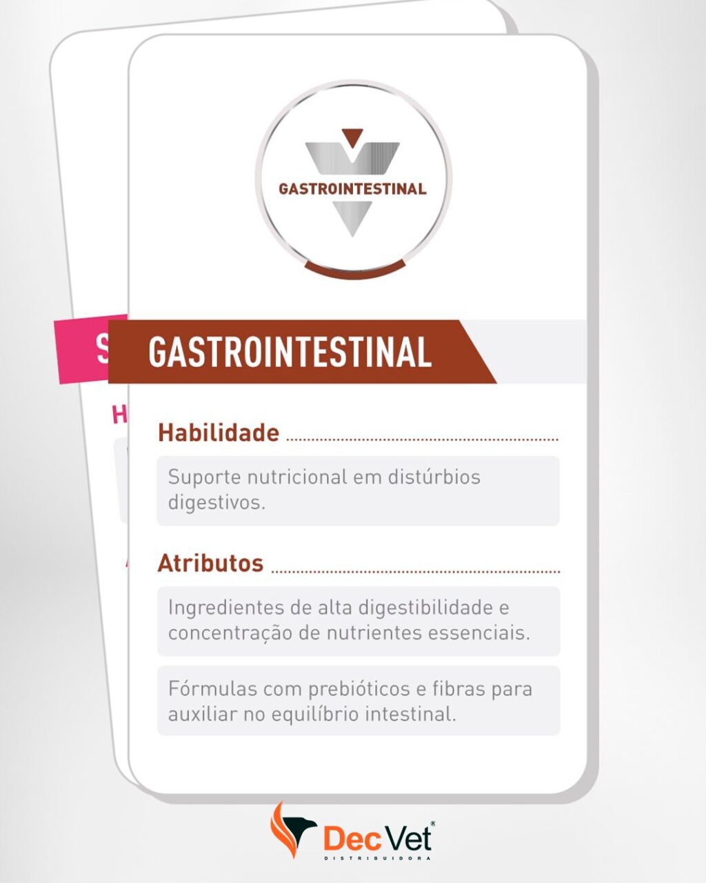 Instagram post from decvetdistribuidora. This post is in position 4.