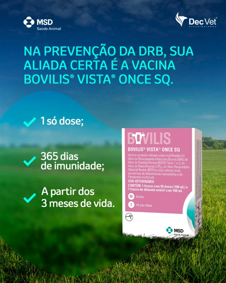 Instagram post from decvetdistribuidora. This post is in position 4.