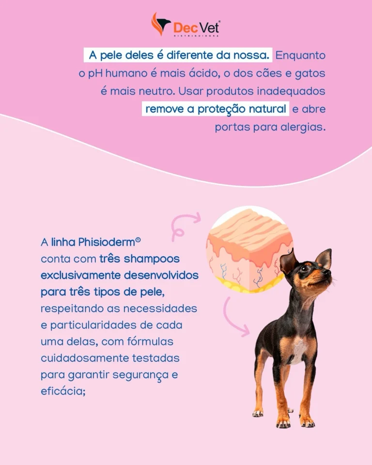 Instagram post from decvetdistribuidora. This post is in position 1.