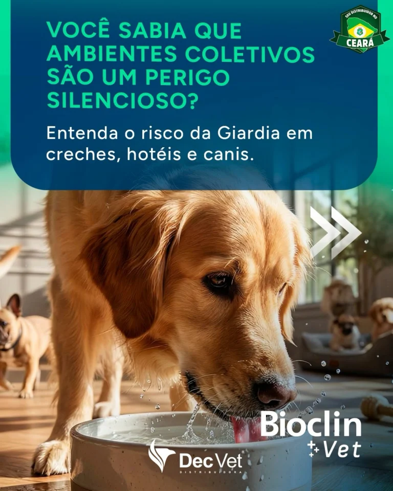 Instagram post from decvetdistribuidora. This post is in position 0.
