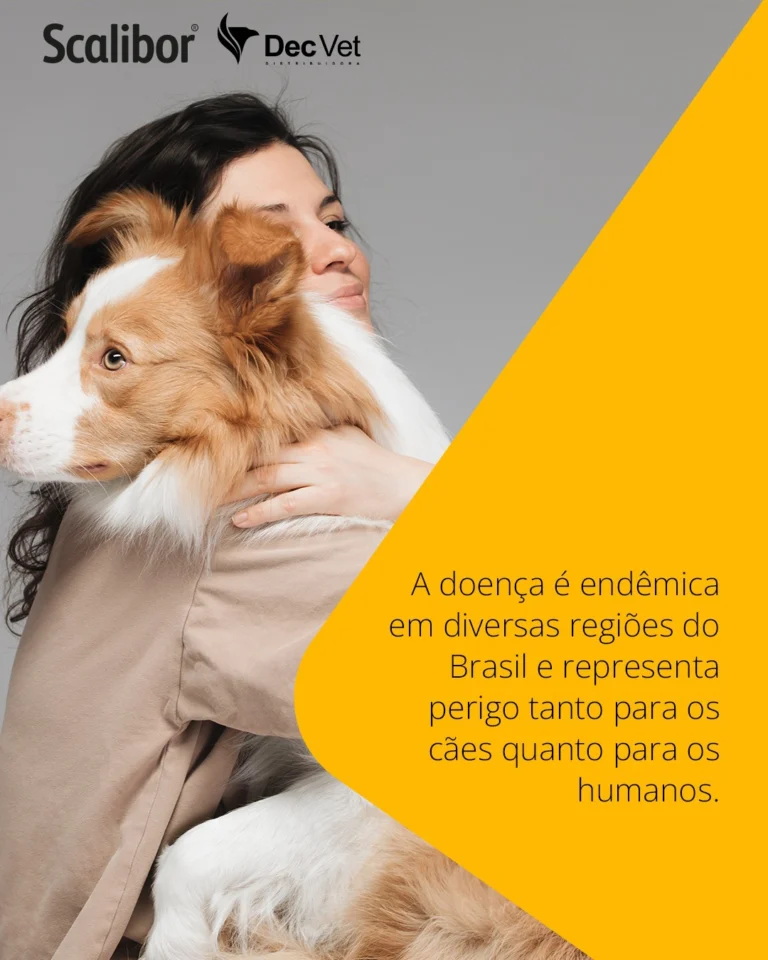 Instagram post from decvetdistribuidora. This post is in position 3.