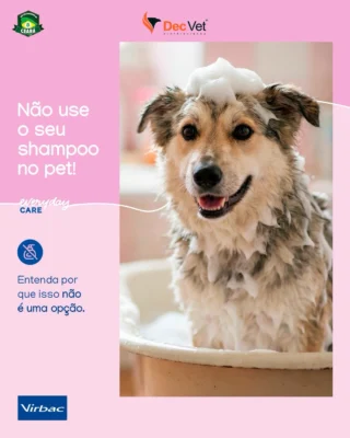 Instagram post from decvetdistribuidora. This post is in position 1.