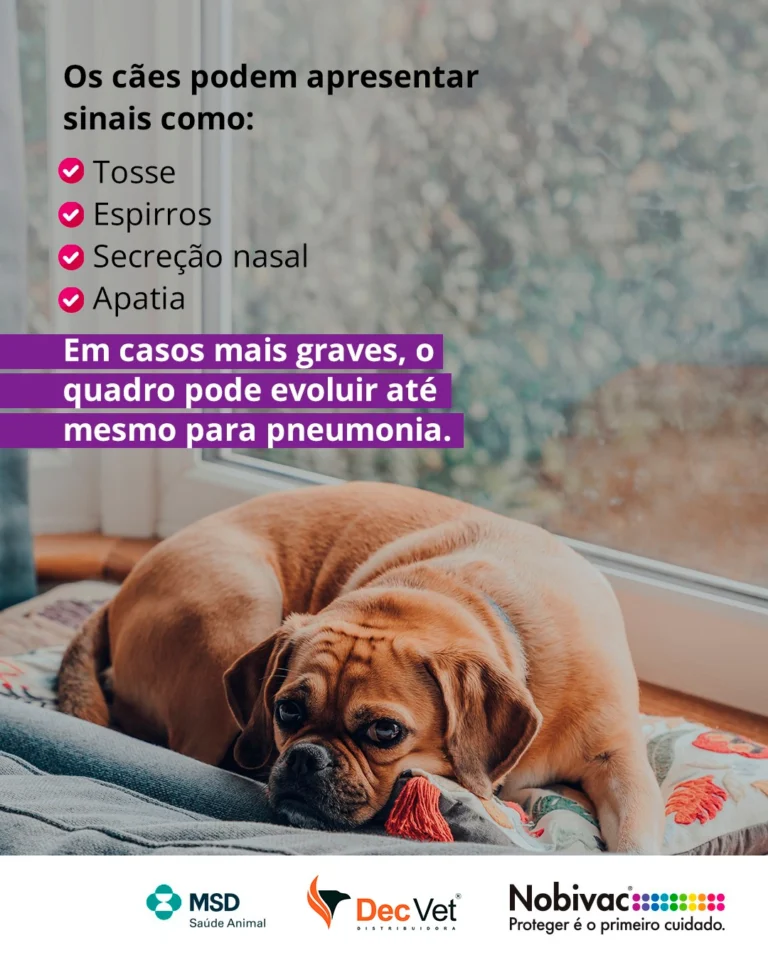 Instagram post from decvetdistribuidora. This post is in position 2.