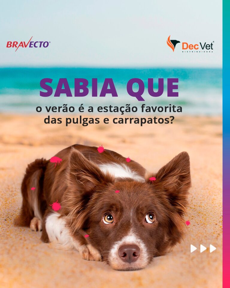 Instagram post from decvetdistribuidora. This post is in position 3.