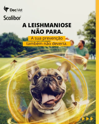 Instagram post from decvetdistribuidora. This post is in position 1.