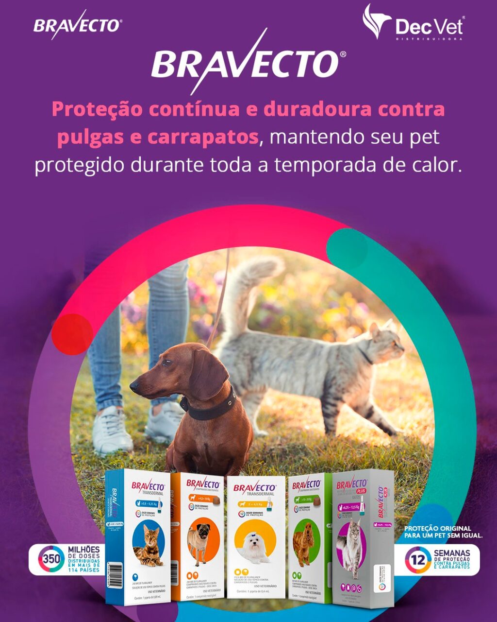 Instagram post from decvetdistribuidora. This post is in position 3.