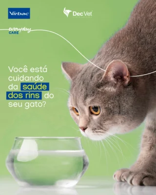 Instagram post from decvetdistribuidora. This post is in position 2.