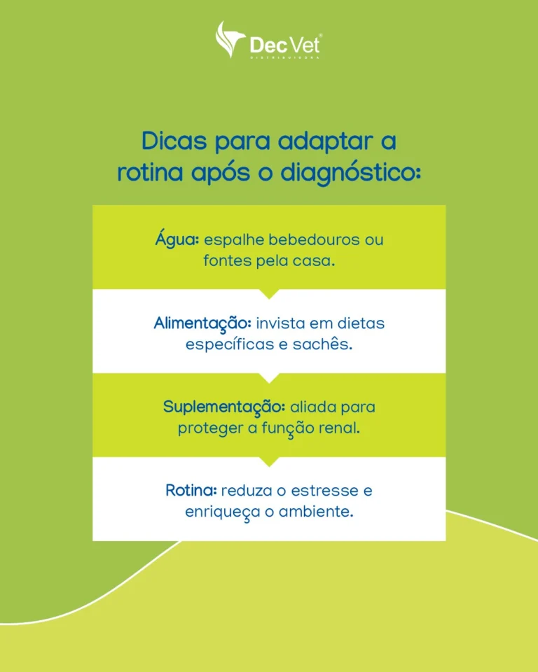 Instagram post from decvetdistribuidora. This post is in position 3.