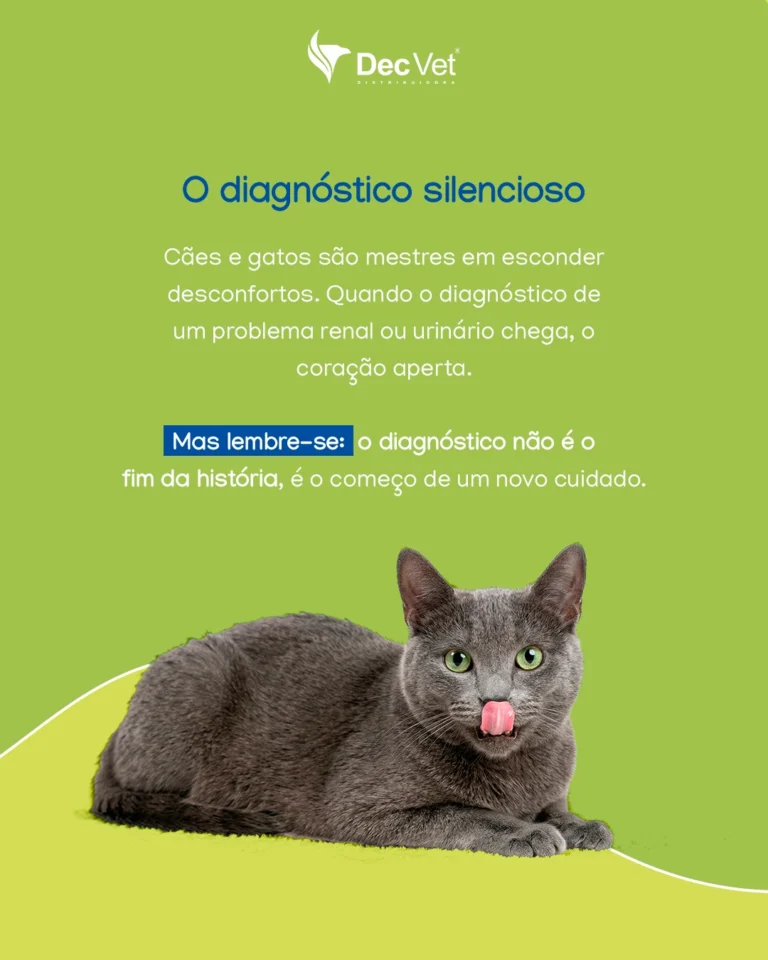 Instagram post from decvetdistribuidora. This post is in position 2.