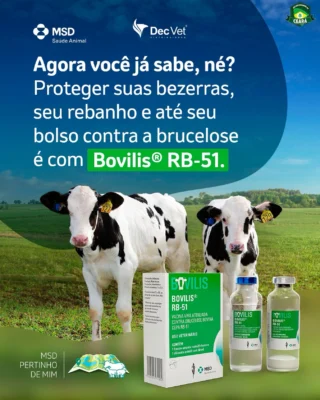 Instagram post from decvetdistribuidora. This post is in position 5.