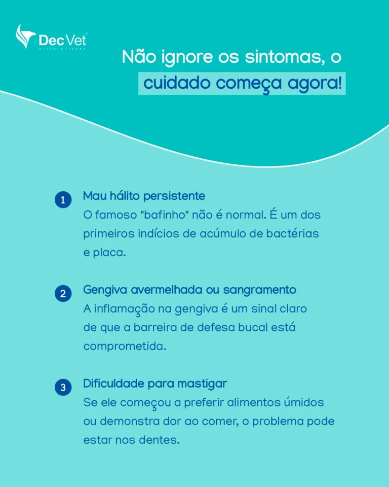 Instagram post from decvetdistribuidora. This post is in position 1.