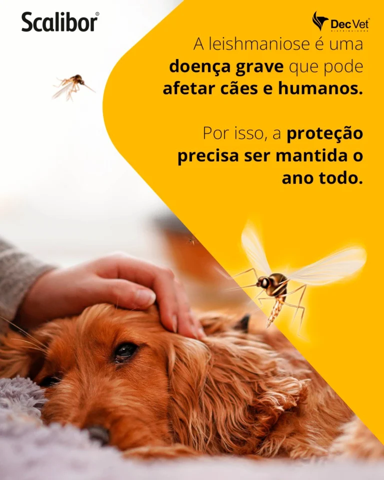 Instagram post from decvetdistribuidora. This post is in position 1.