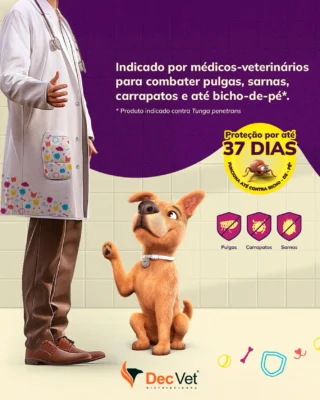 Instagram post from decvetdistribuidora. This post is in position 3.