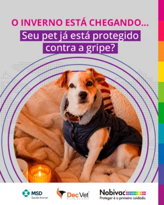 Instagram post from decvetdistribuidora. This post is in position 1.