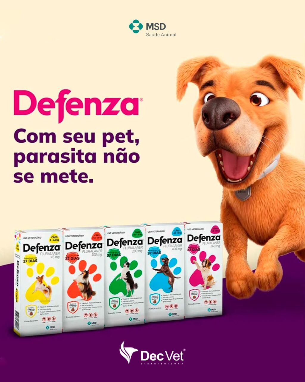 Instagram post from decvetdistribuidora. This post is in position 2.