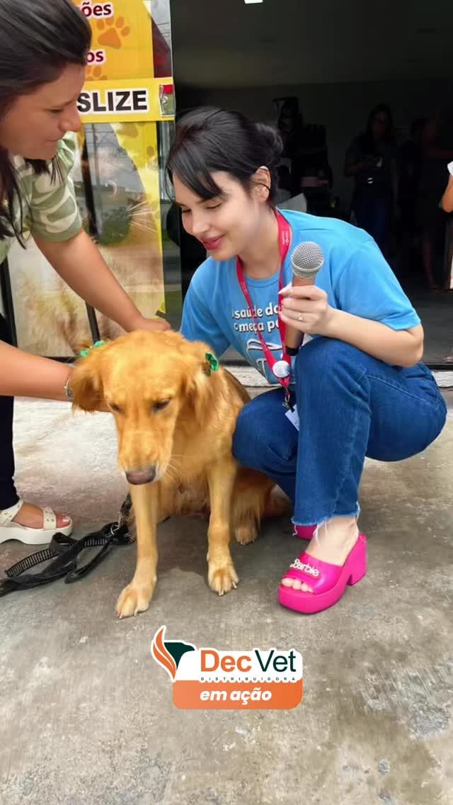 Instagram post from decvetdistribuidora. This post is in position 4.