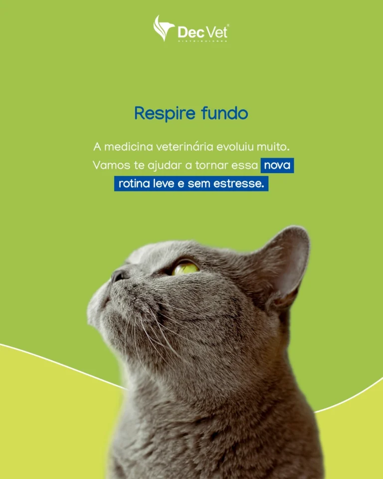 Instagram post from decvetdistribuidora. This post is in position 1.