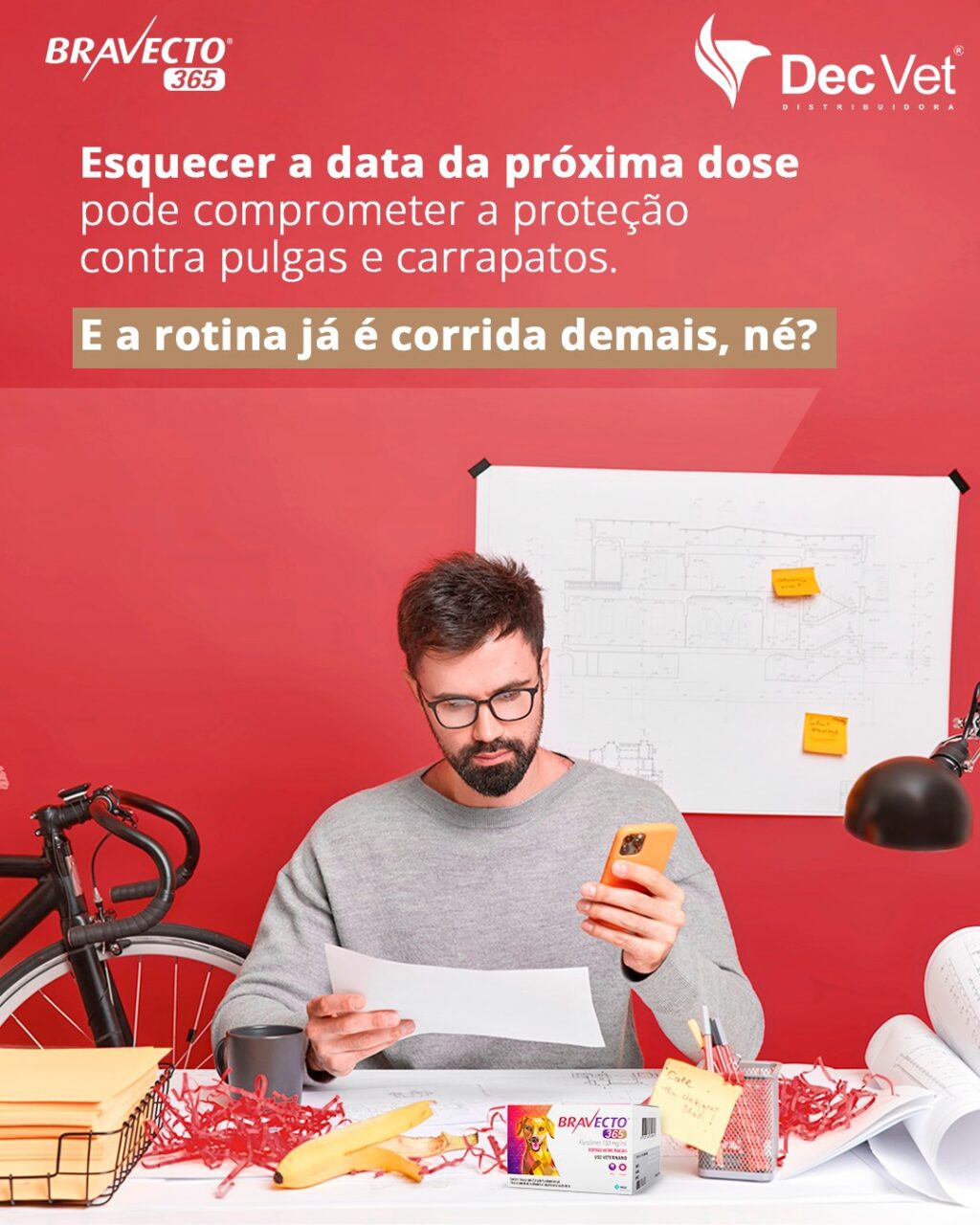 Instagram post from decvetdistribuidora. This post is in position 1.