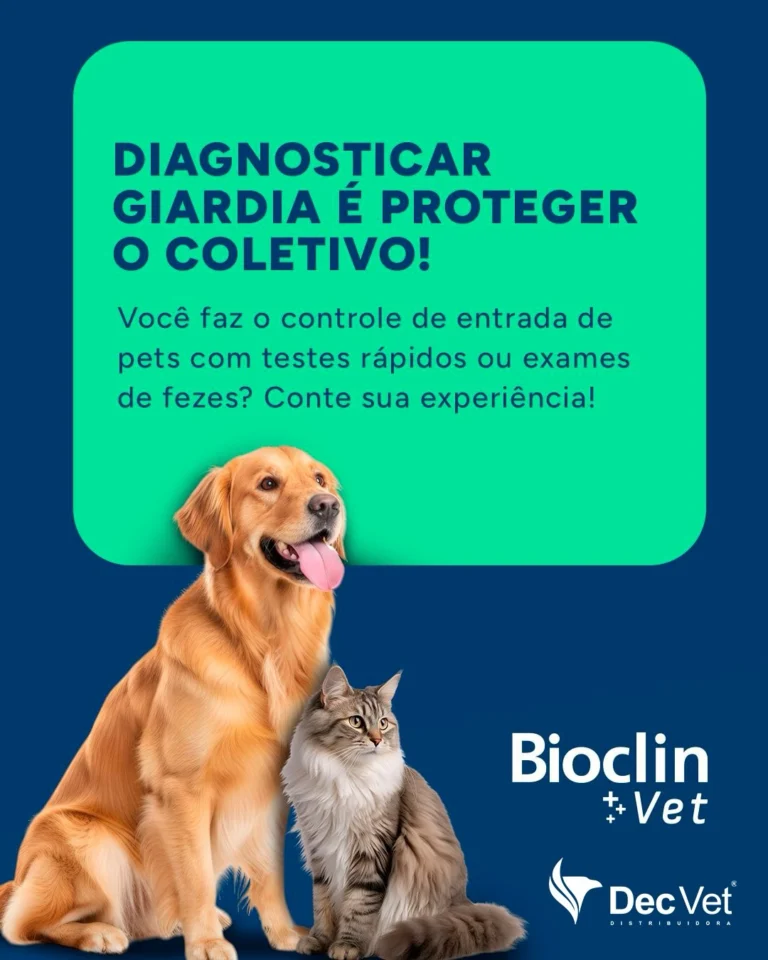 Instagram post from decvetdistribuidora. This post is in position 5.