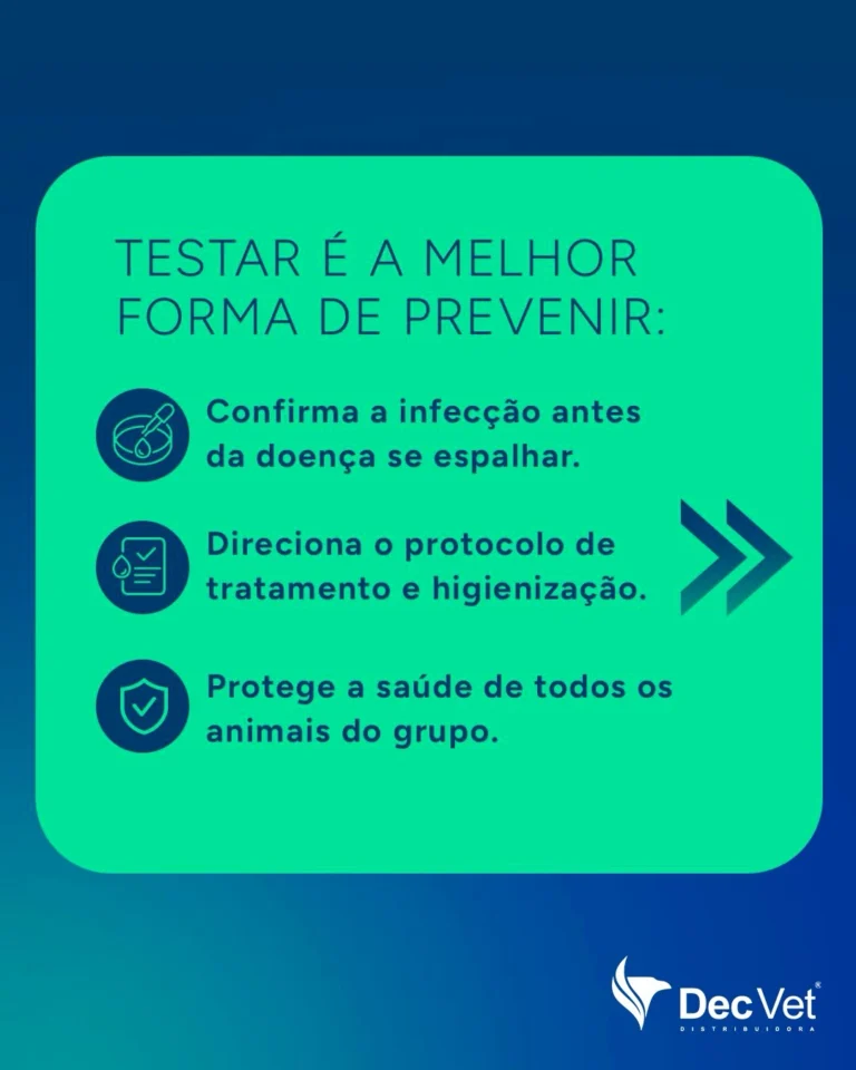 Instagram post from decvetdistribuidora. This post is in position 4.