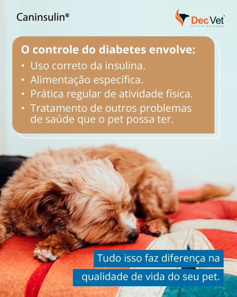 Instagram post from decvetdistribuidora. This post is in position 2.