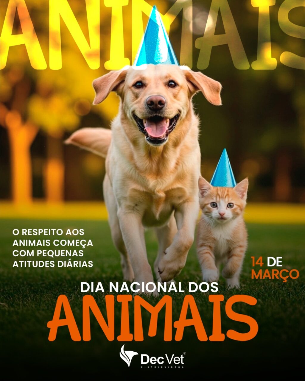 Instagram post from decvetdistribuidora. This post is in position 0.