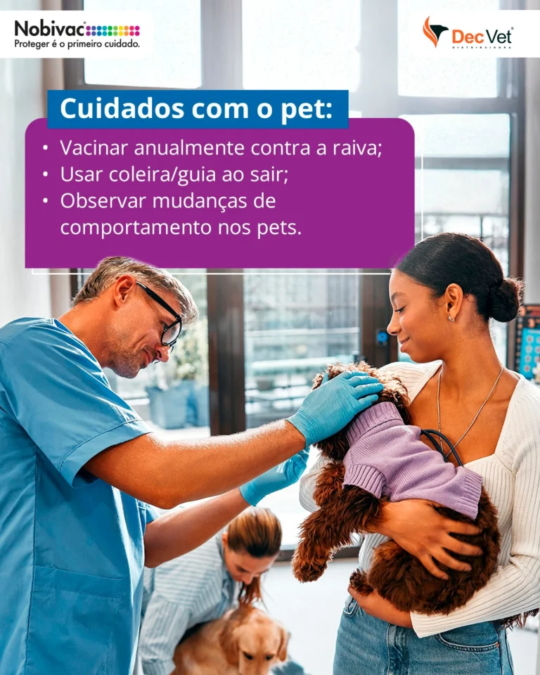 Instagram post from decvetdistribuidora. This post is in position 2.