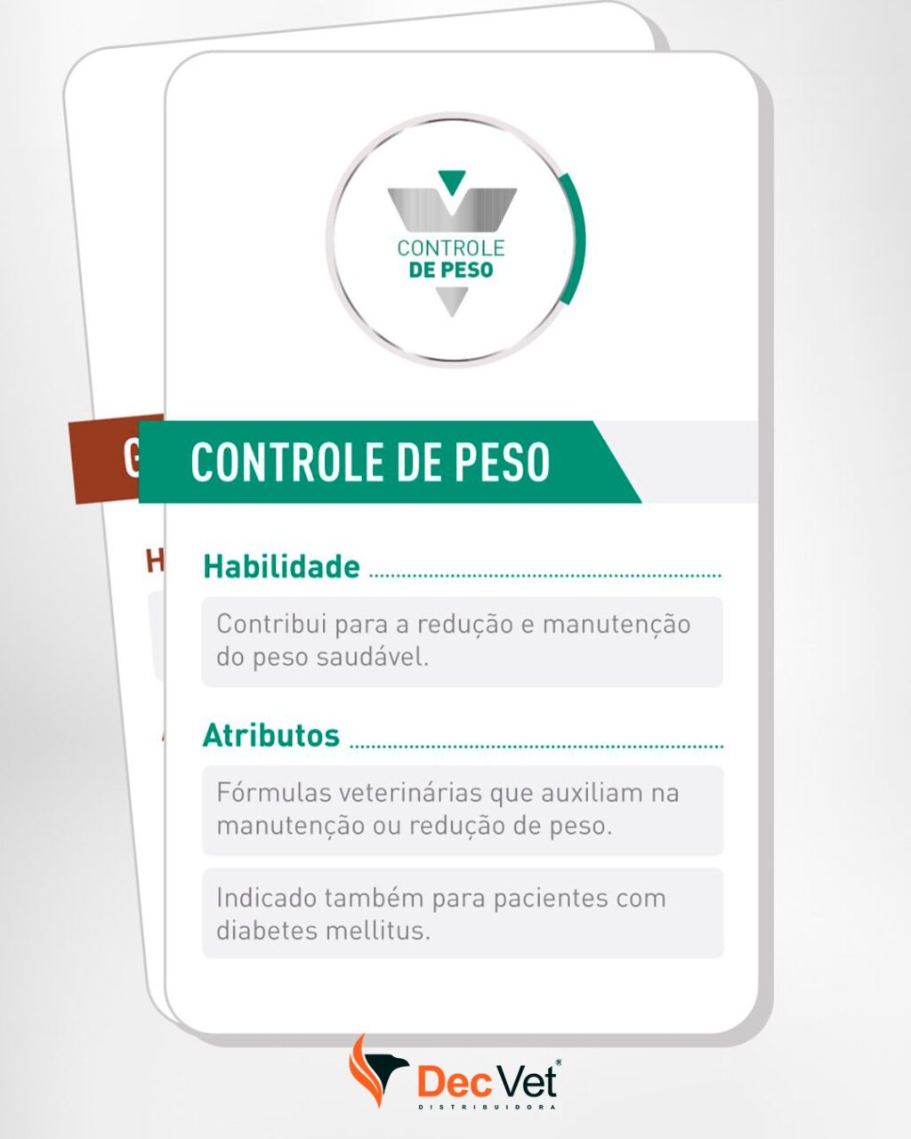 Instagram post from decvetdistribuidora. This post is in position 3.