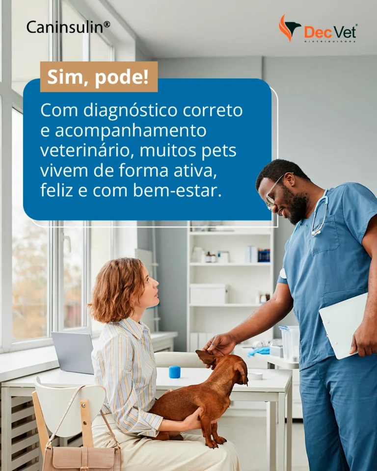 Instagram post from decvetdistribuidora. This post is in position 1.