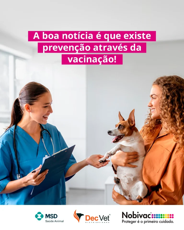 Instagram post from decvetdistribuidora. This post is in position 3.