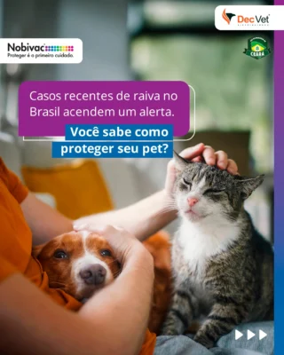 Instagram post from decvetdistribuidora. This post is in position 3.