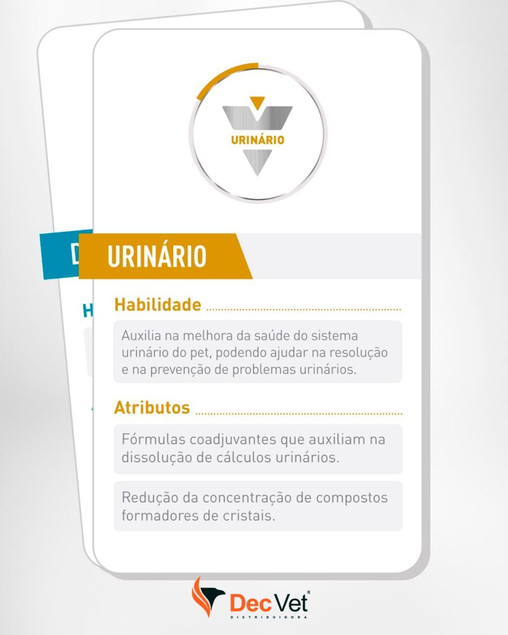 Instagram post from decvetdistribuidora. This post is in position 1.